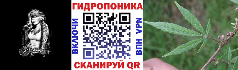 Бошки марихуана AK-47  Купить где  Касли 